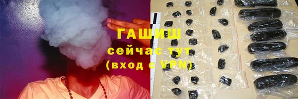 PSILOCYBIN Бугульма