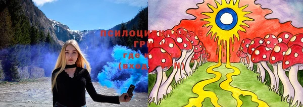 молекула духа Вязники