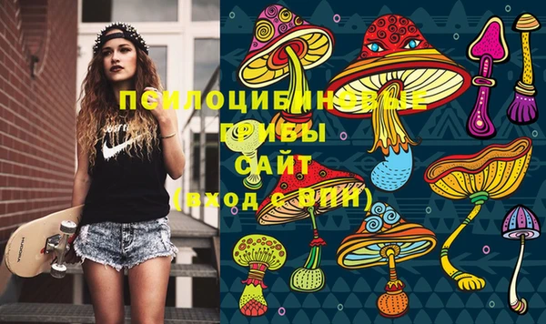 индика Верхнеуральск