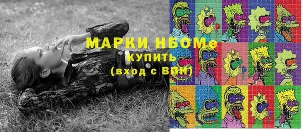 прущая мука Вяземский