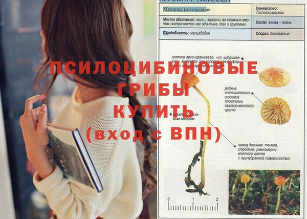 spice Верея