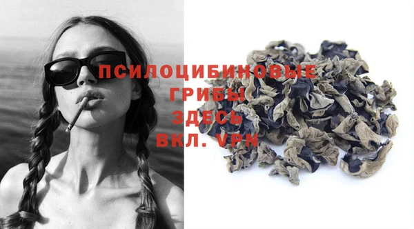 молекула духа Вязники