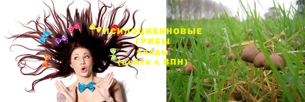 молекула духа Вязники