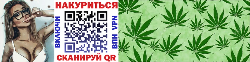darknet состав  кракен вход  Марихуана план  Дальнереченск  цены наркотик 